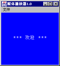 用java构造自己的媒体播放器