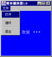 用java构造自己的媒体播放器