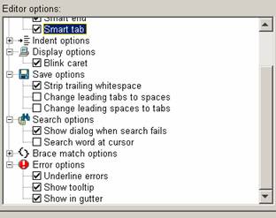 jbuilder 编辑器常规设置及优化（1）（图八）
